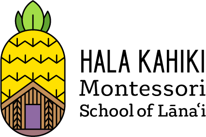 Pineapple and hale icon