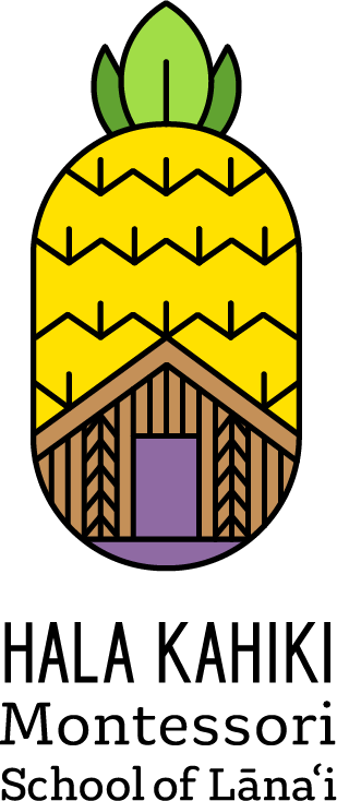 Pineapple and hale icon