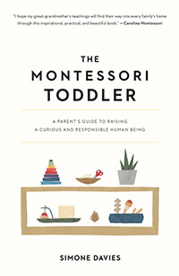 Off white book cover with illustration of cupboard with Montessori teaching tools