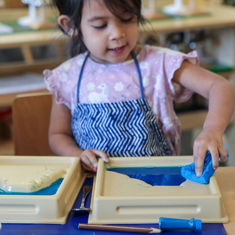Female toddler learning about landforms using sponge with blue and green colored water
