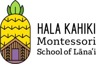 Pineapple and hale icon